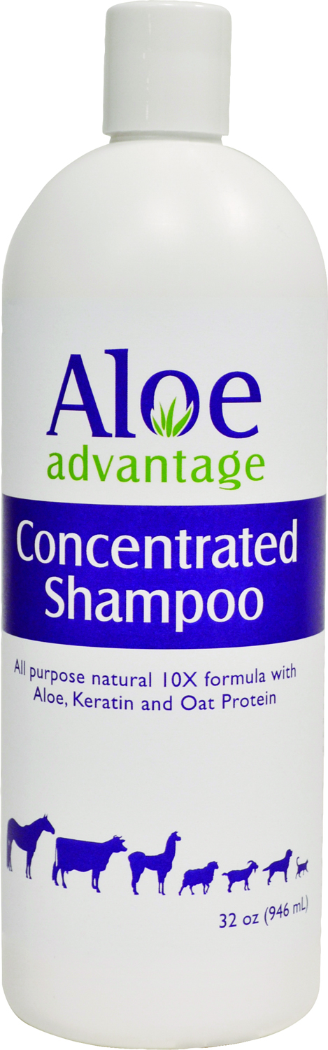 ALOE ADVANTAGE CONCENTRATED SHAMPOO 10X