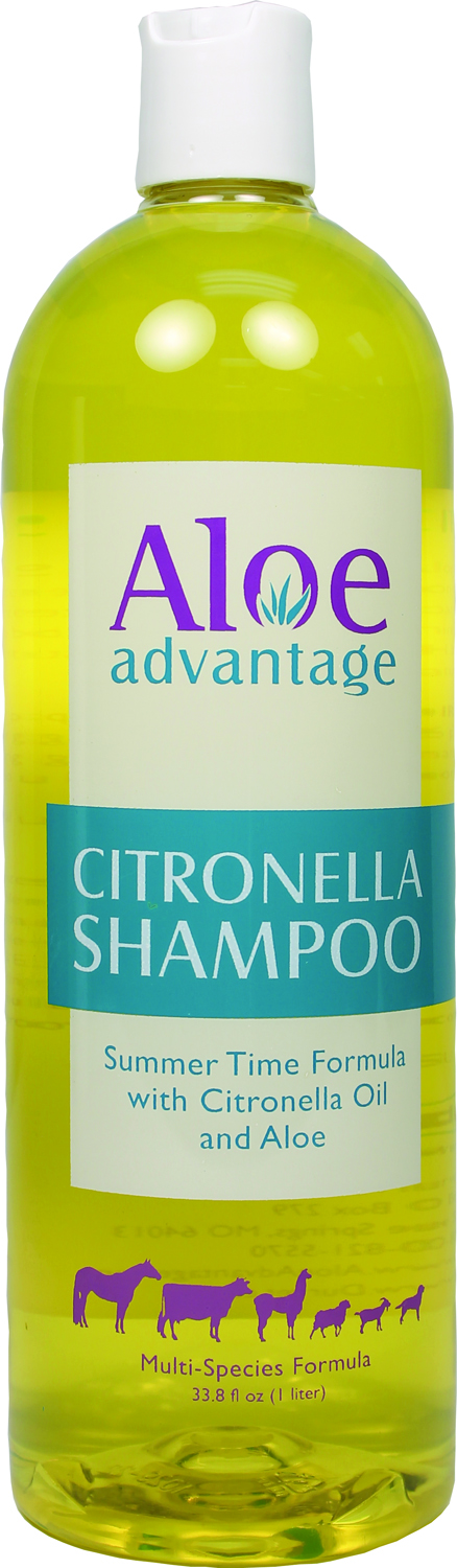 ALOE ADVANTAGE CITRONELLA SHAMPOO CONCENTRATE