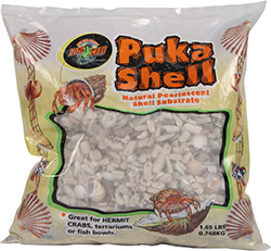 PUKA SHELL NATURAL PEARLESCENT SHELL SUBSTRATE