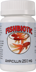 FISHBIOTIC  AMPICILLIN