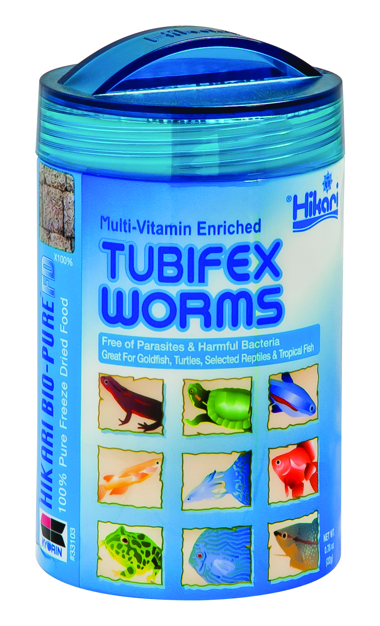 TUBIFEX WORMS