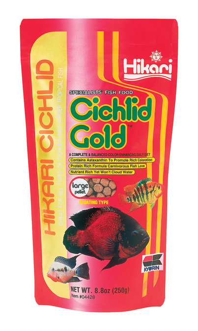 Cichlid Gold Large