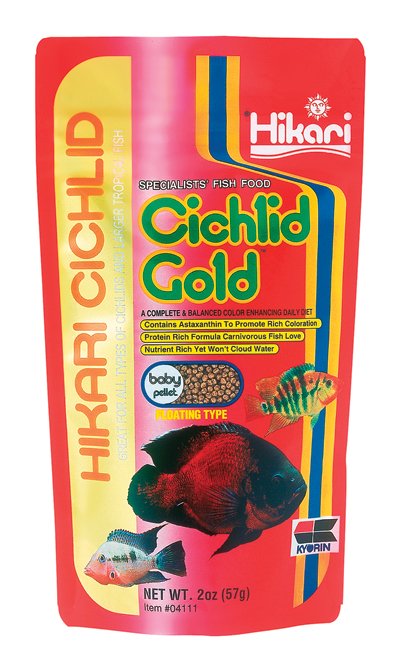 Cichlid Gold Baby