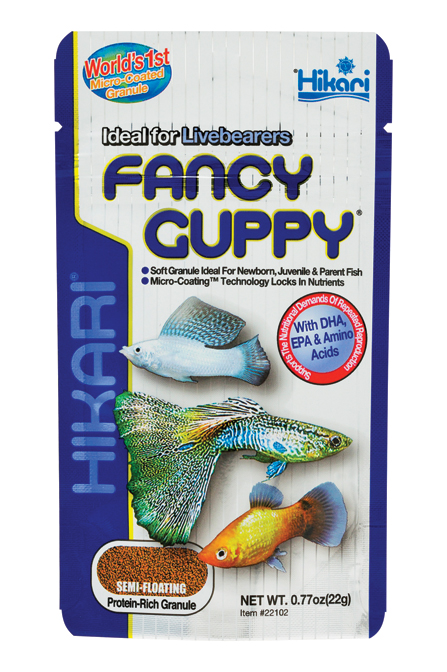 FANCY GUPPY