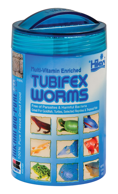 TUBIFEX WORMS