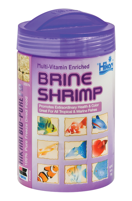 BRINE SHRIMP