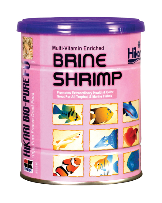 BRINE SHRIMP