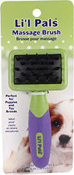 LI L PALS MASSAGE BRUSH