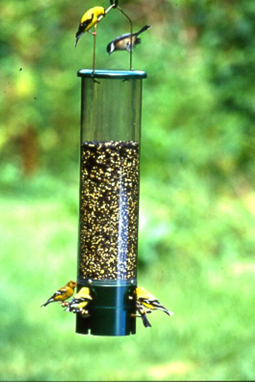 Bouncer Squirrel Proof Feeder