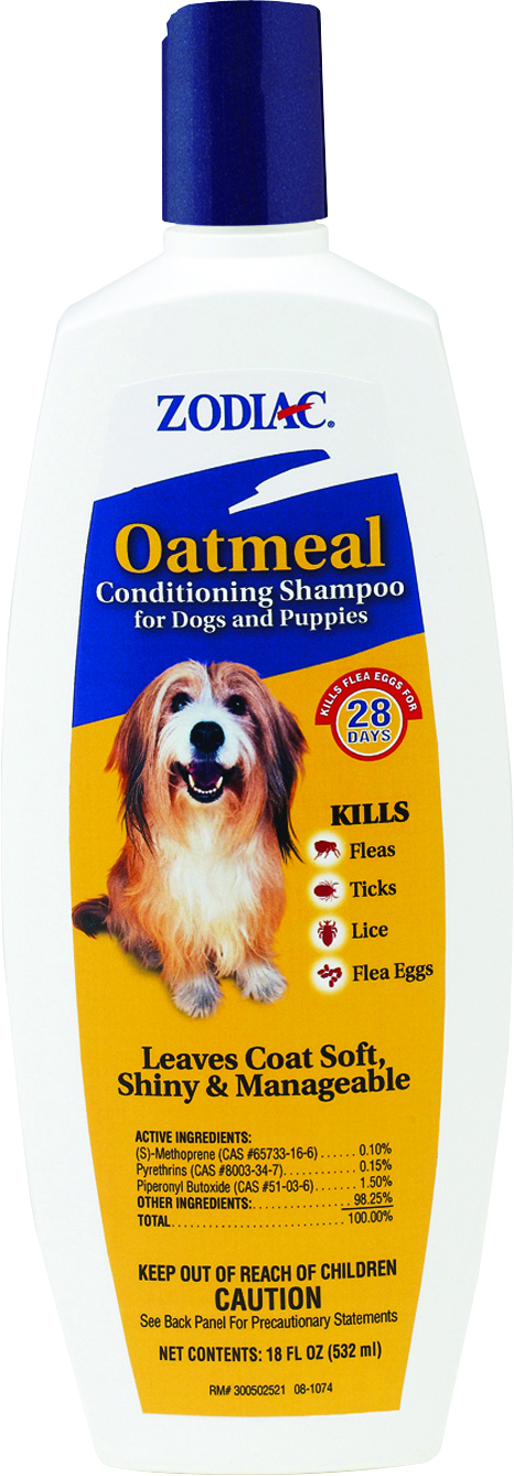 OATMEAL CONDITIONING SHAMPOO