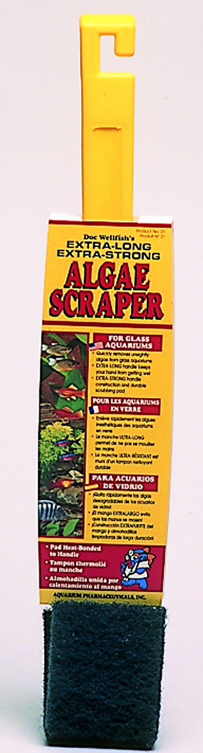 ALGAE SCRAPER/GLASS