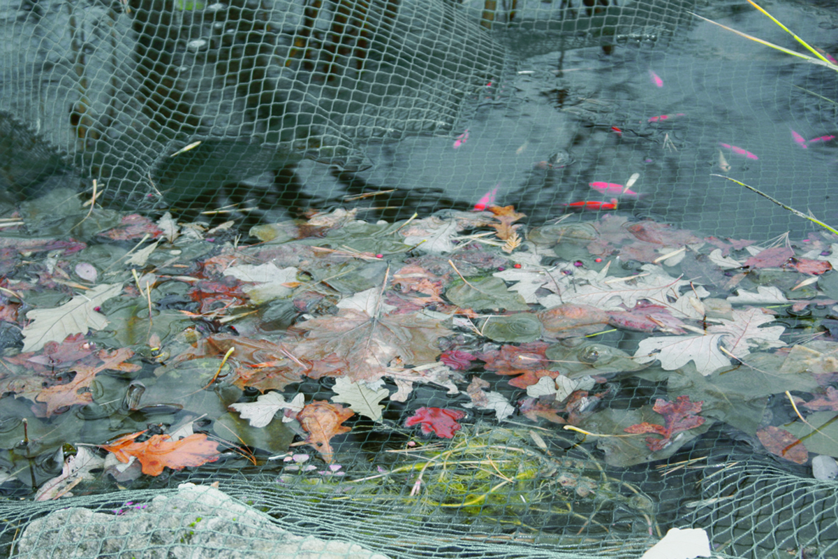 POND NETTING