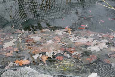 POND NETTING