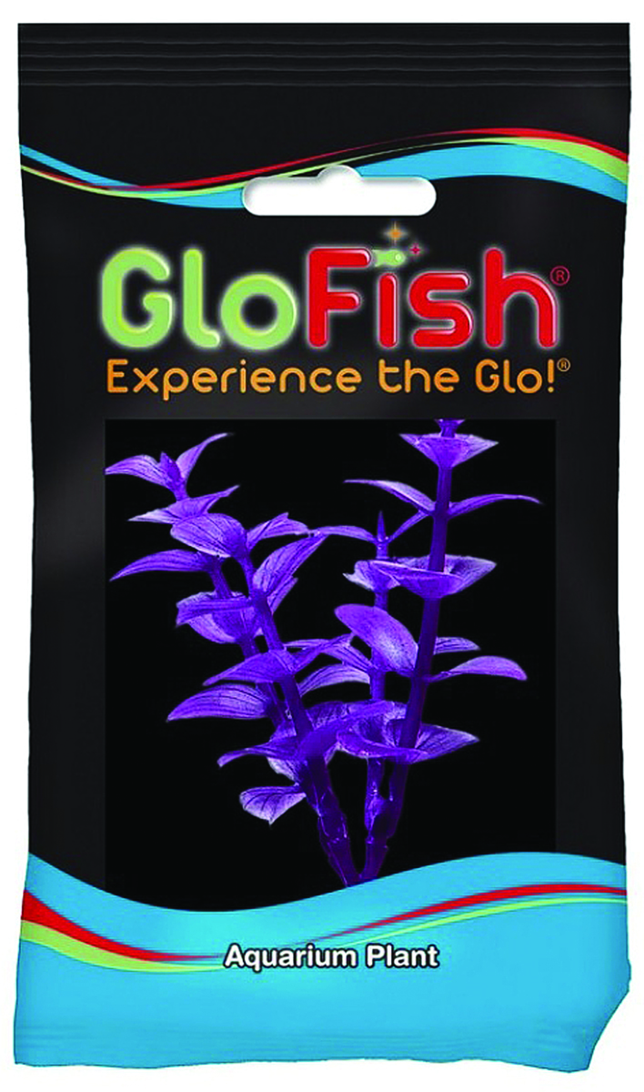 GLOFISH BACOPA AQUARIUM PLANT