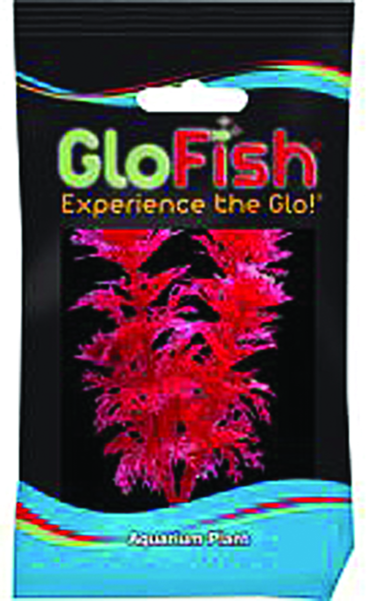 GLOFISH AMBULIA AQUARIUM PLANT
