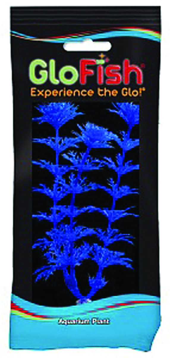 GLOFISH AMBULIA AQUARIUM PLANT