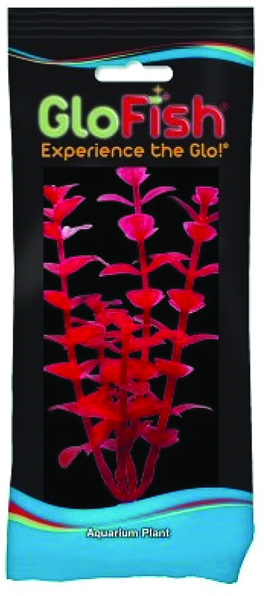 GLOFISH BACOPA AQUARIUM PLANT