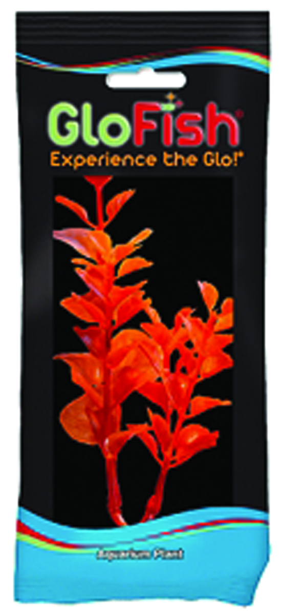 GLOFISH MONEYWORT AQUARIUM PLANT