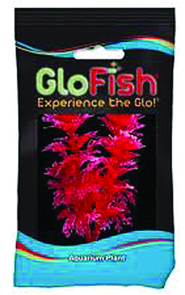 GLOFISH AMBULIA AQUARIUM PLANT