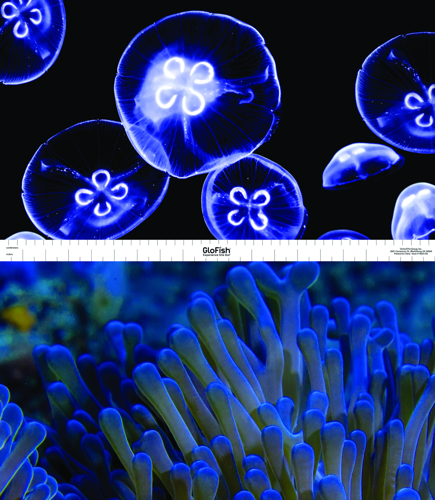 GLOFISH JELLYFISH/ANEMONE AQUARIUM BACKGROUND