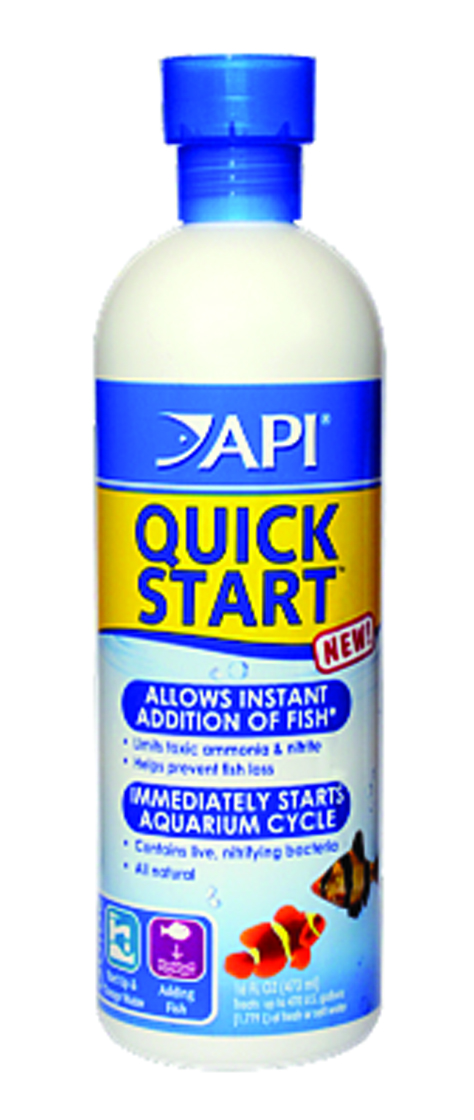 API QUICK START