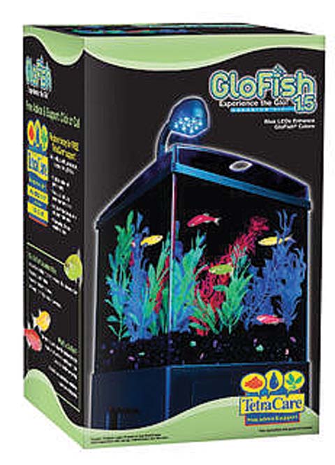 GLOFISH AQUARIUM KIT - CUBE