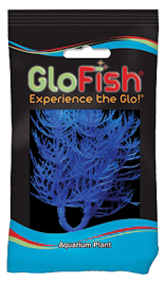 GLOFISH FOXTAIL AQUARIUM PLANT