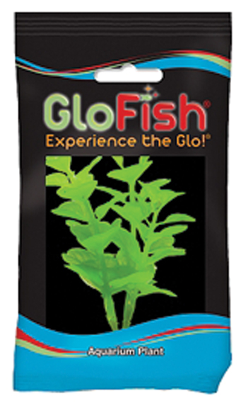 GLOFISH MONEYWORT AQUARIUM PLANT