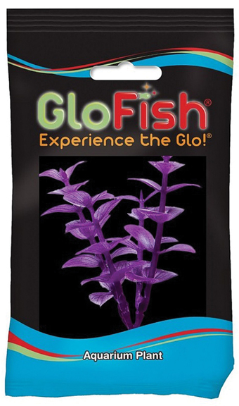 GLOFISH BACOPA AQUARIUM PLANT