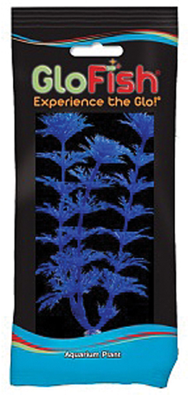 GLOFISH AMBULIA AQUARIUM PLANT