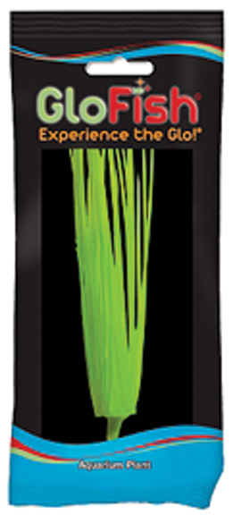 GLOFISH HAIRGRASS AQUARIUM PLANT