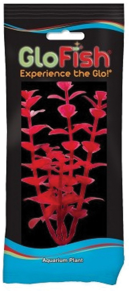 GLOFISH BACOPA AQUARIUM PLANT