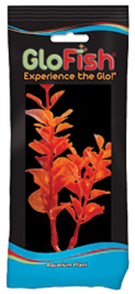GLOFISH MONEYWORT AQUARIUM PLANT
