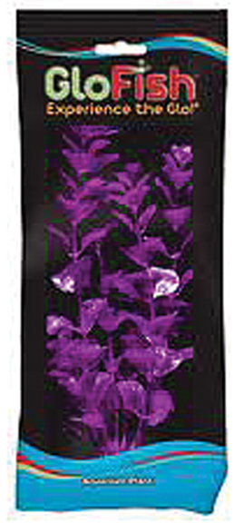 GLOFISH MONEYWORT AQUARIUM PLANT