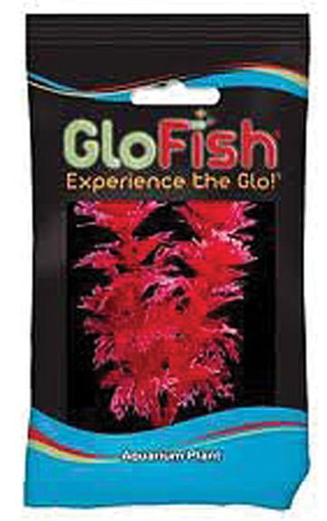 GLOFISH AMBULIA AQUARIUM PLANT