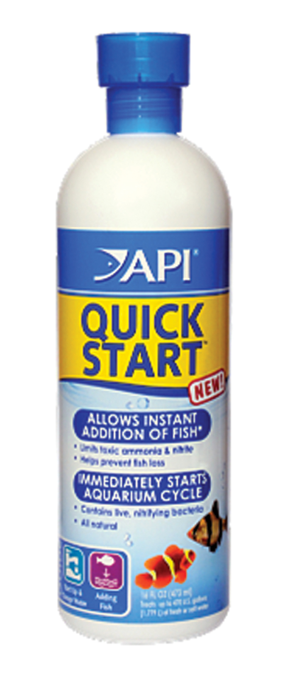 API QUICK START