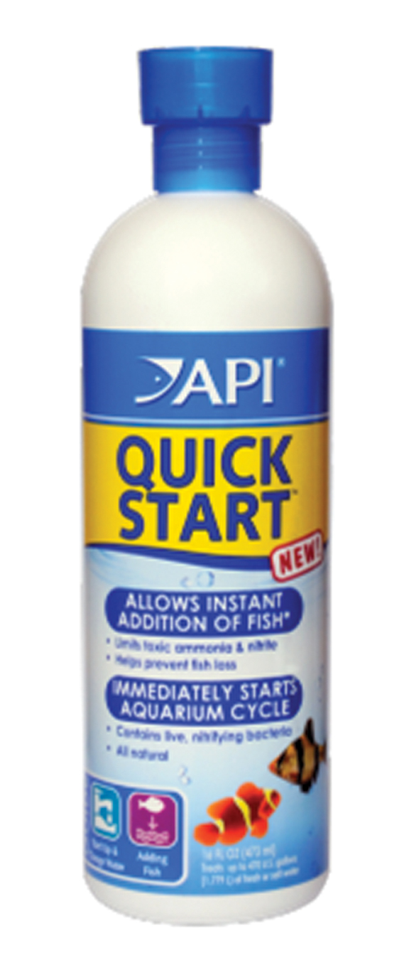 API QUICK START