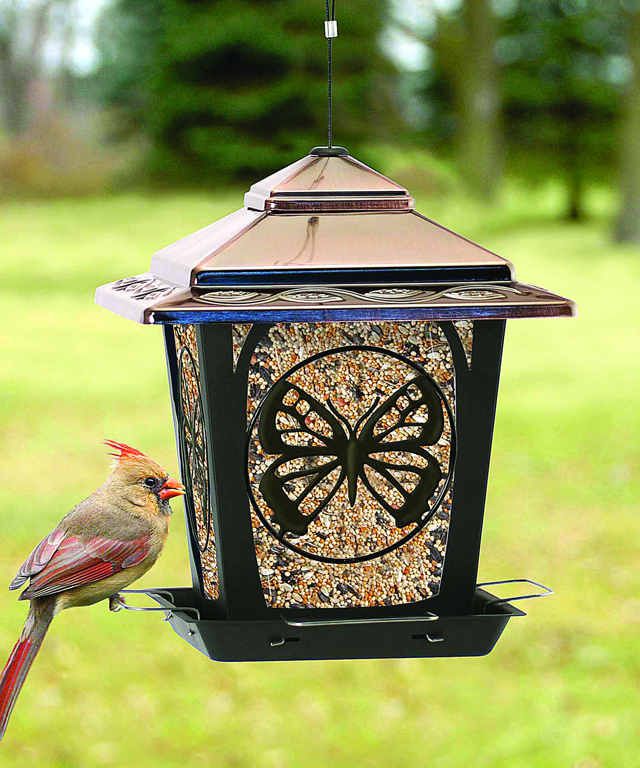 HOPPER STYLE BIRD FEEDER WITH BUTTEFLY DESIGN