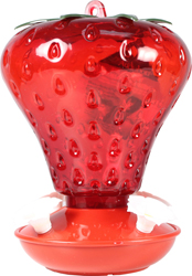 STRAWBERRY HUMMINGBIRD FEEDER