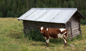 Livestock Containment